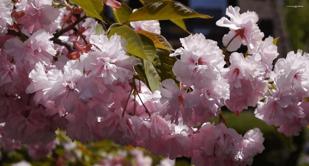 봄이 오면 볼 수 있는 모습 | 인스티즈