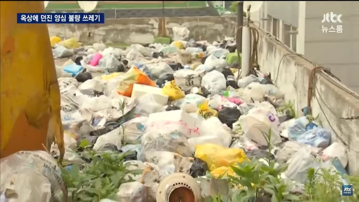 개나 줘버린 시민의식 | 인스티즈