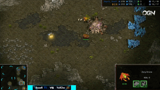 테란 잘하는 사람들 특징.jpgif | 인스티즈