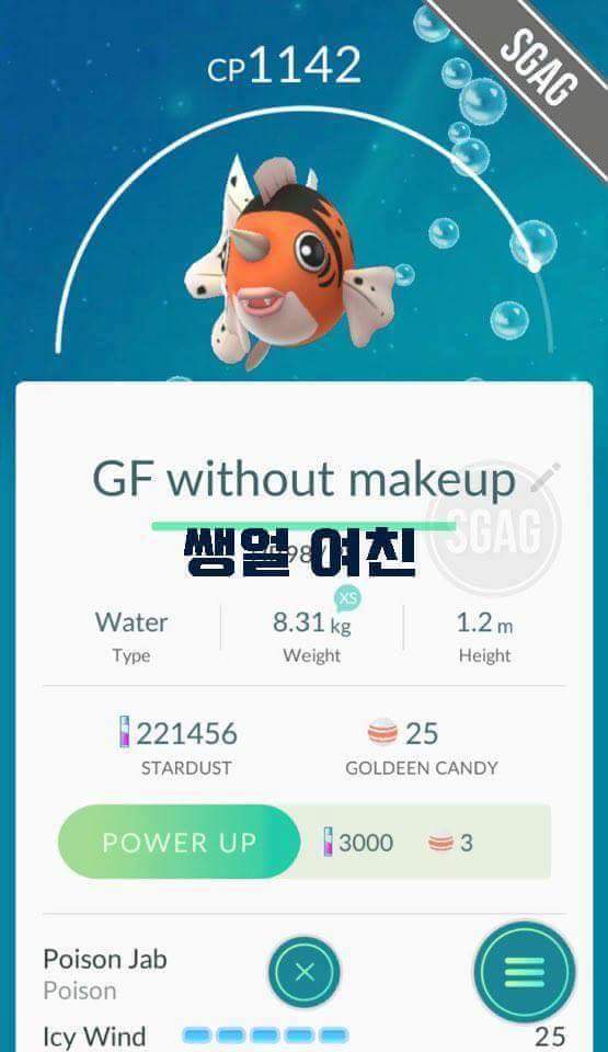 포켓몬은 내 친구 | 인스티즈