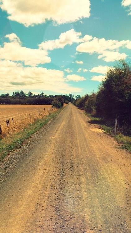 지친 당신을 위로해주는 사진.jpg | 인스티즈