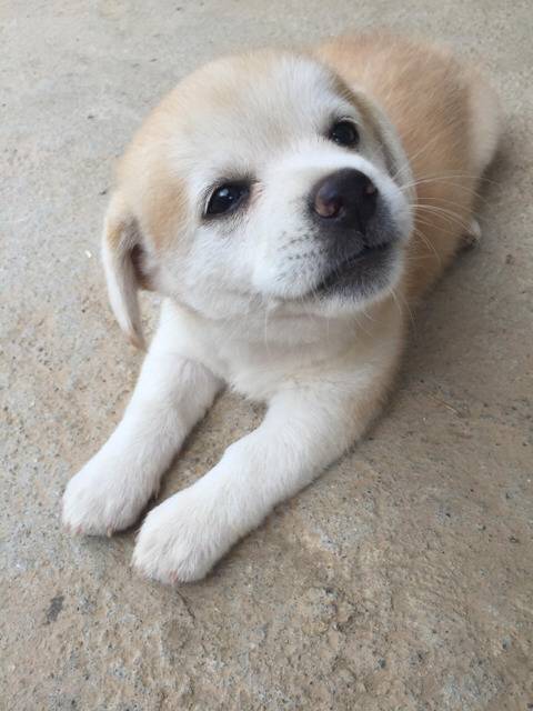 모든 커뮤 대통합을 이뤄버린 인절미 | 인스티즈