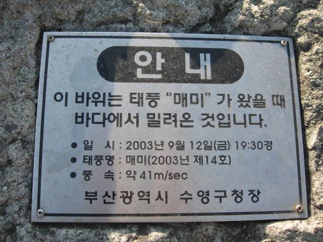 태풍의 엄청난 위력에 육지로 올라온 돌과 테트라포드.jpg | 인스티즈