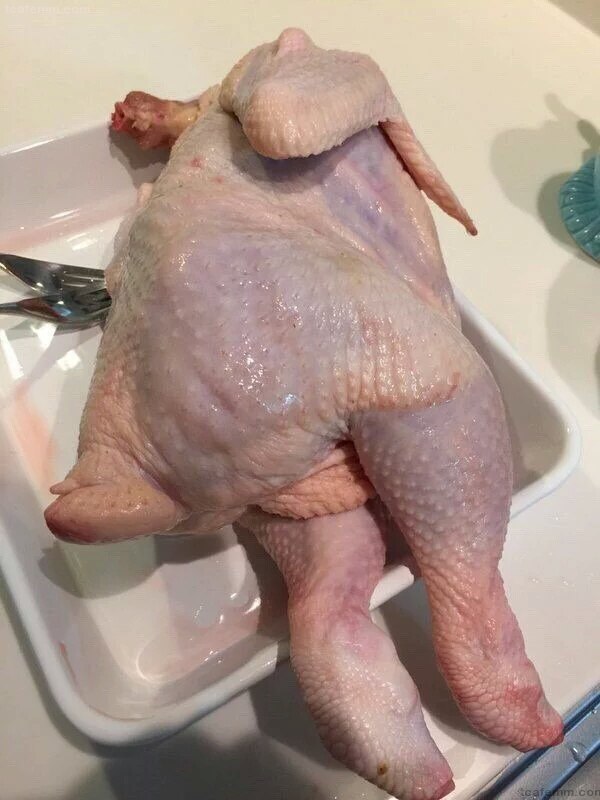 sns 여신이 많은이유!!! | 인스티즈