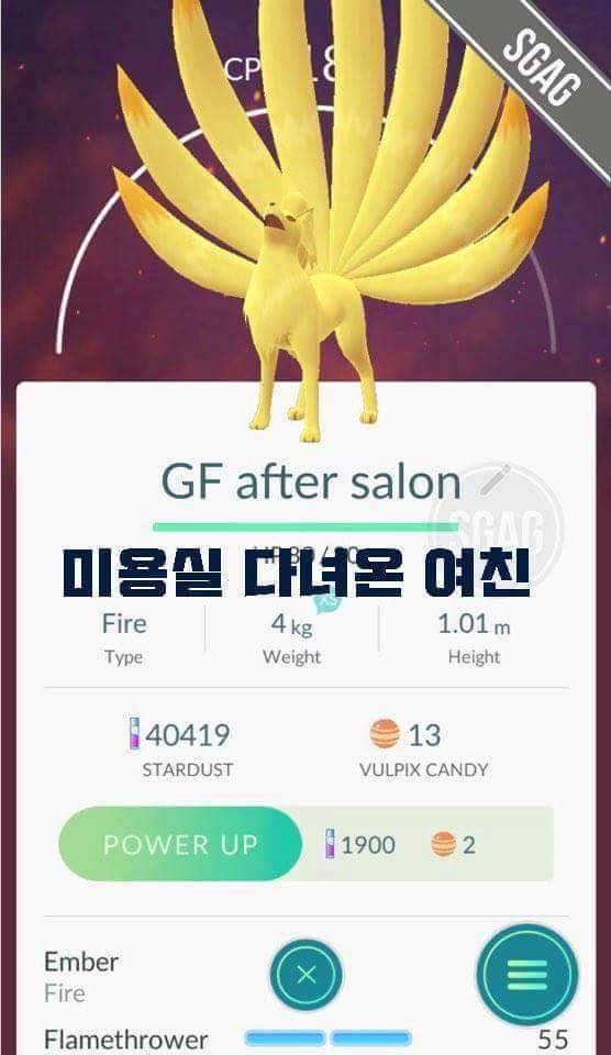 포켓몬은 내 친구 | 인스티즈