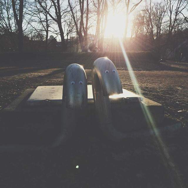 눈만 생겨도 귀여워 지는 세상 | 인스티즈