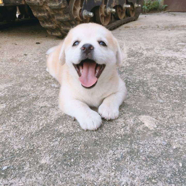 해피~ 스마일!!! 짱절미.jpg | 인스티즈