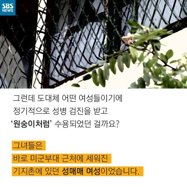  우리는 원숭이가 아닙니다 | 인스티즈