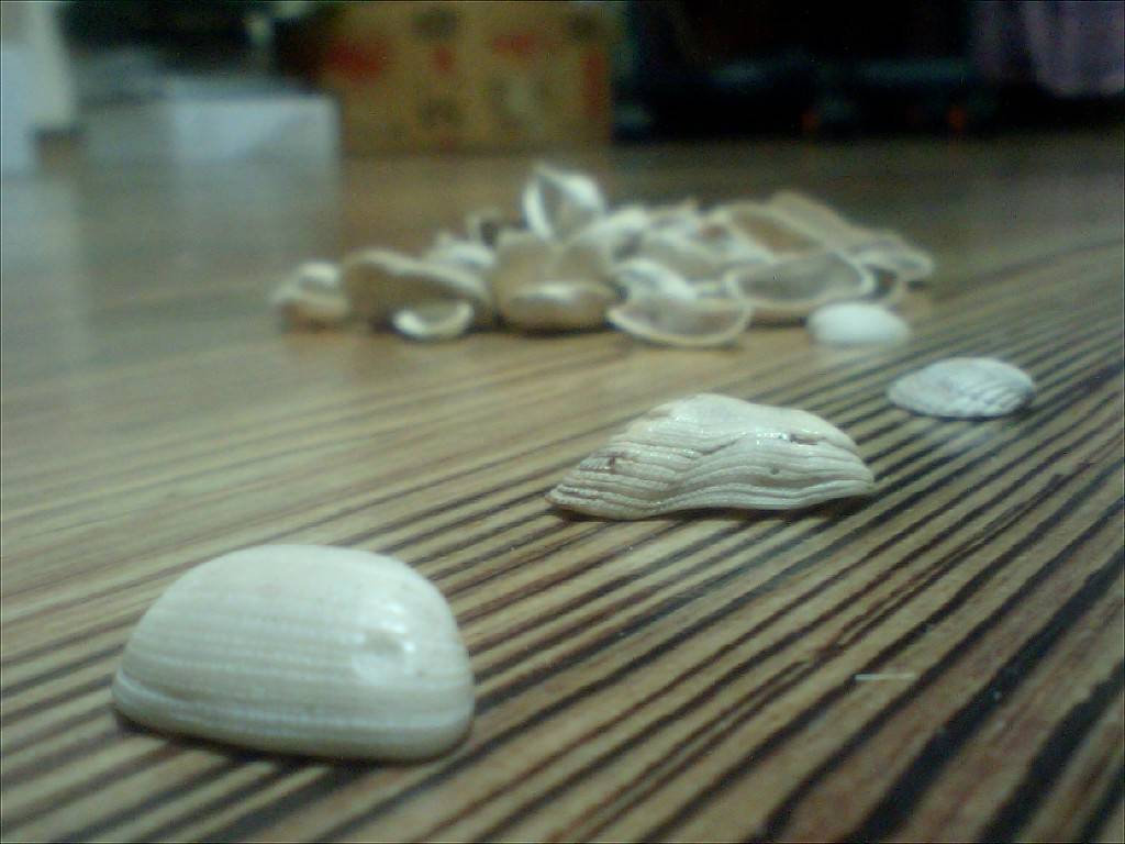 추억의 조개싸움 | 인스티즈