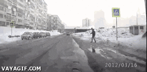 간보기류 甲 | 인스티즈