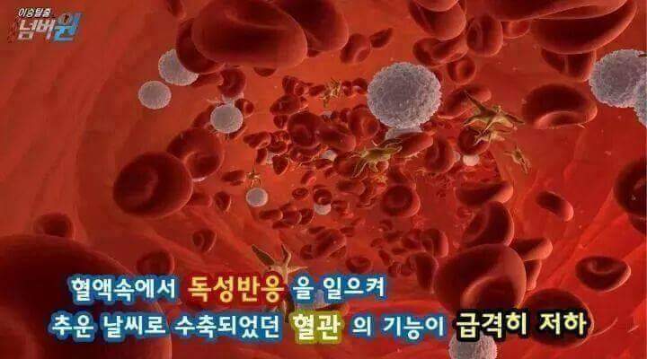 키스가 위험한 이유 | 인스티즈