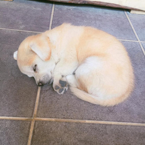 모든 커뮤 대통합을 이뤄버린 인절미 | 인스티즈