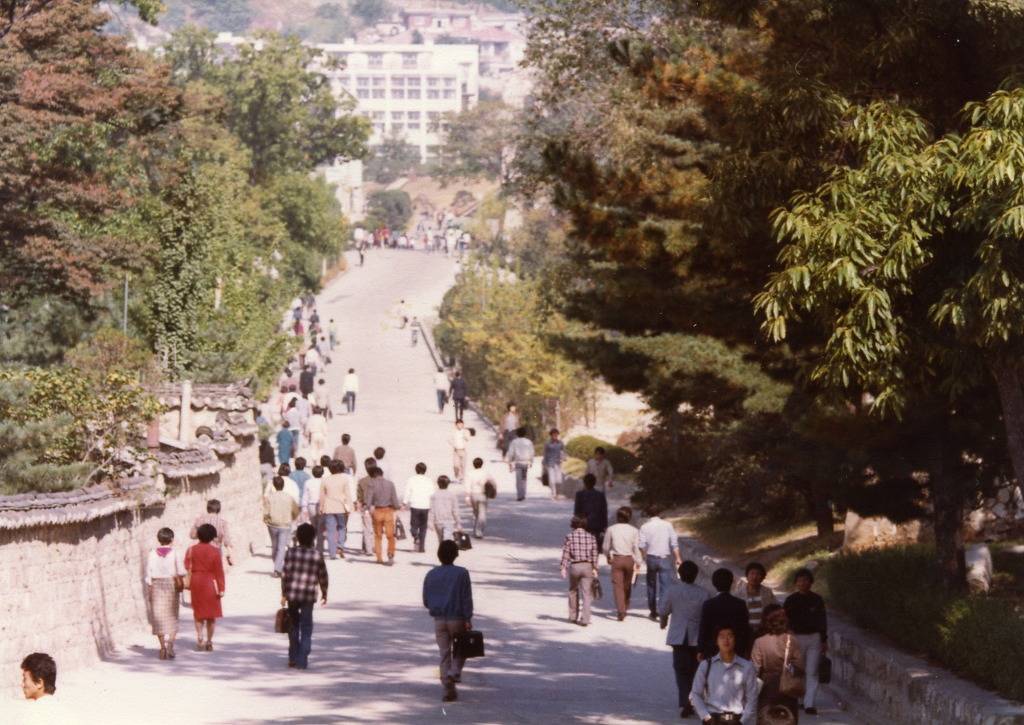 1980년대 성균관대학교 | 인스티즈