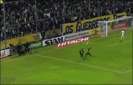 주인 보호 본능.gif | 인스티즈