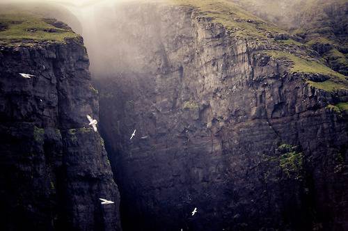 지친 당신을 위로해주는 사진.jpg | 인스티즈