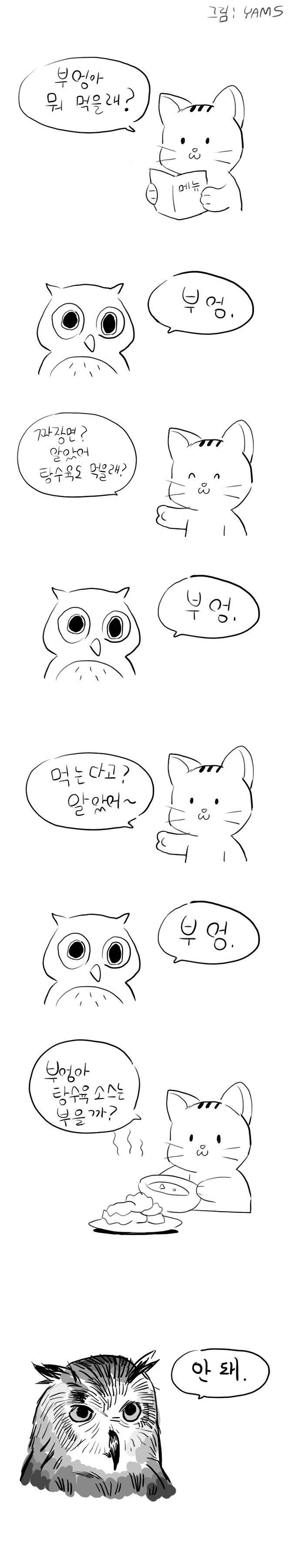부엉이 만화.jpg | 인스티즈