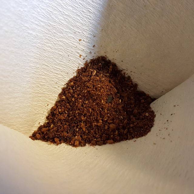 한 루리웹 유저가 커피마시는 방법 | 인스티즈