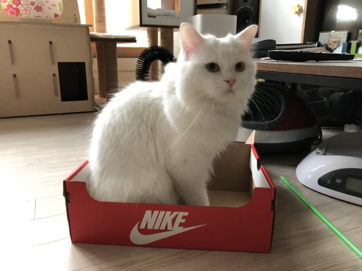 역시 나이키가 편하고 좋네 | 인스티즈