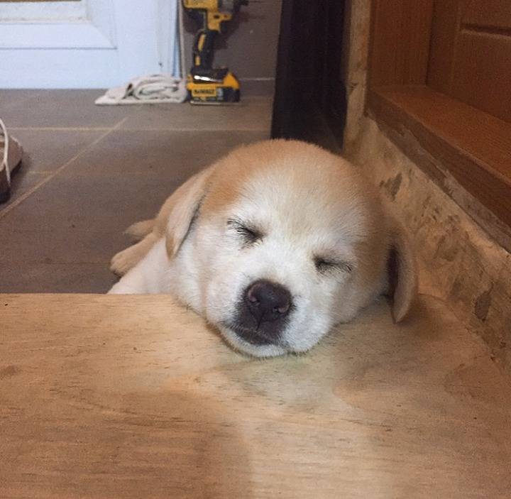 재업로드된 짱절미 사진 모음집.jpg(사진29장) | 인스티즈