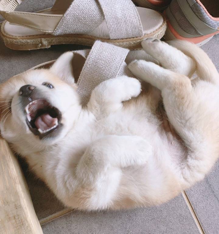 재업로드된 짱절미 사진 모음집.jpg(사진29장) | 인스티즈