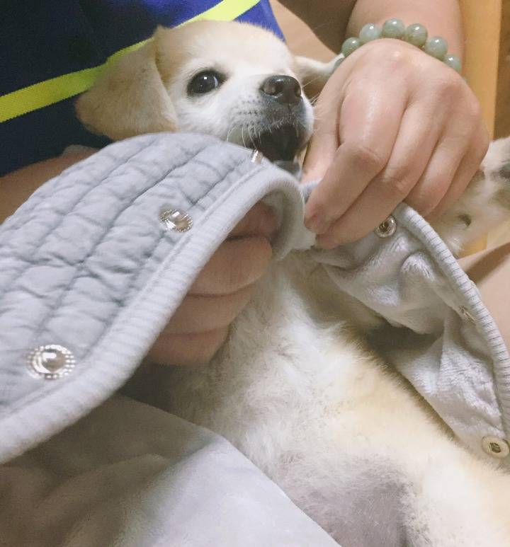 재업로드된 짱절미 사진 모음집.jpg(사진29장) | 인스티즈