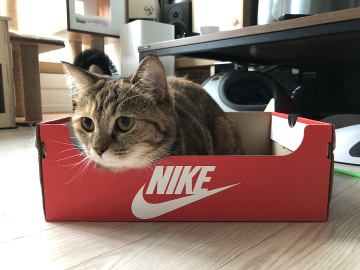 역시 나이키가 편하고 좋네 | 인스티즈