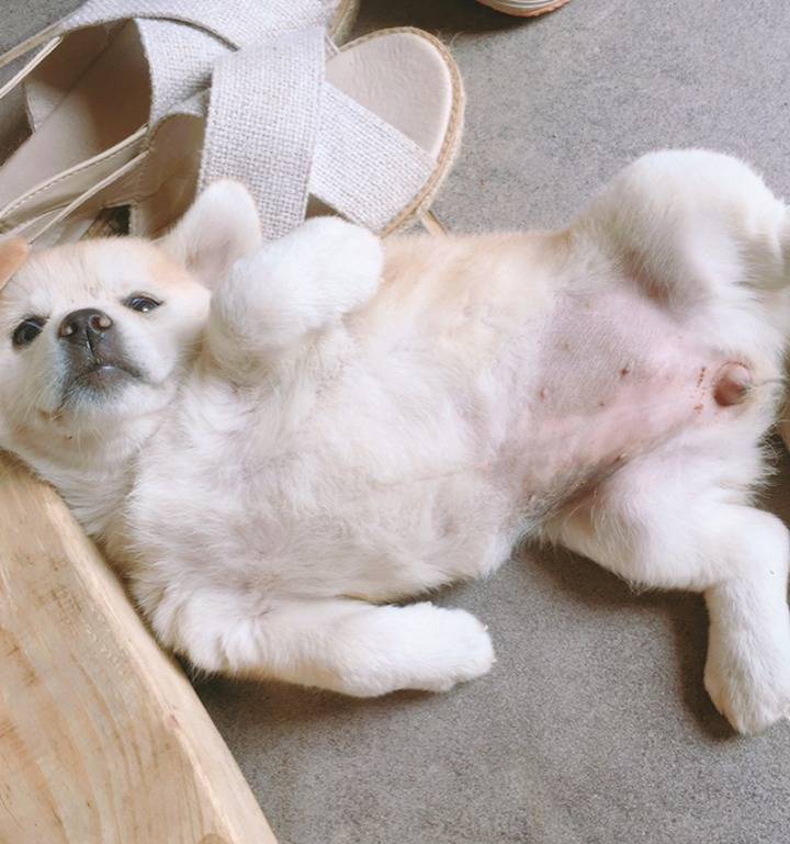 재업로드된 짱절미 사진 모음집.jpg(사진29장) | 인스티즈