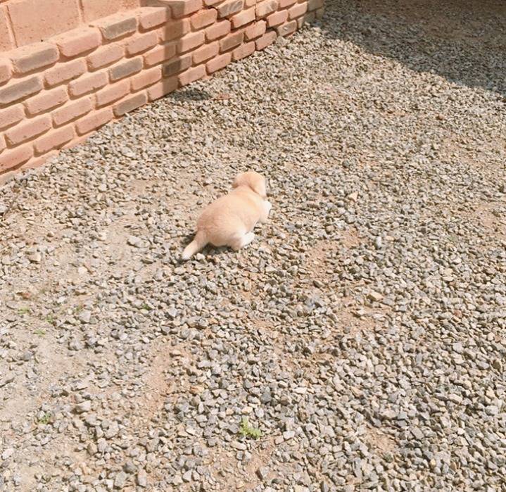 재업로드된 짱절미 사진 모음집.jpg(사진29장) | 인스티즈