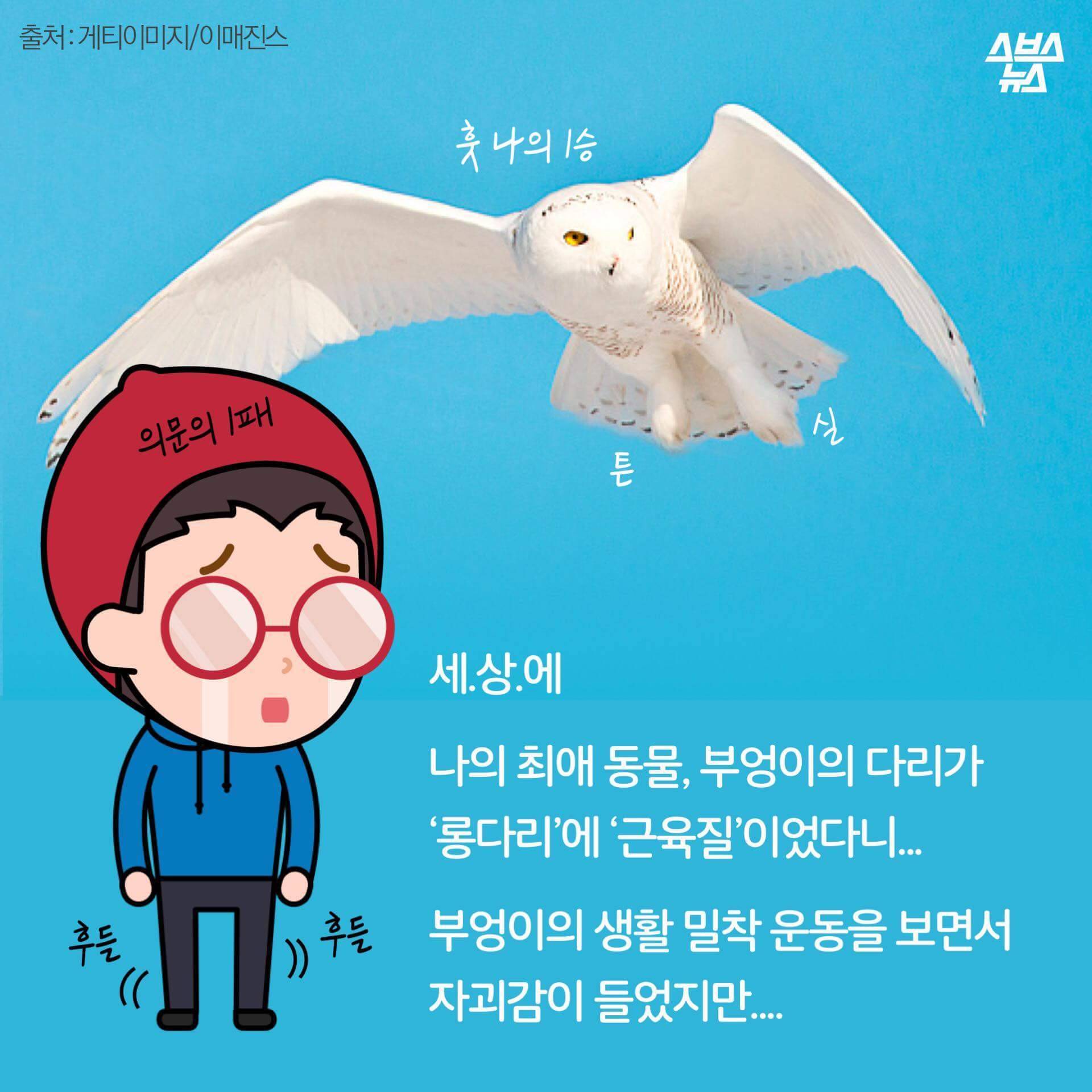 숏하지 않다고 말해부엉 | 인스티즈