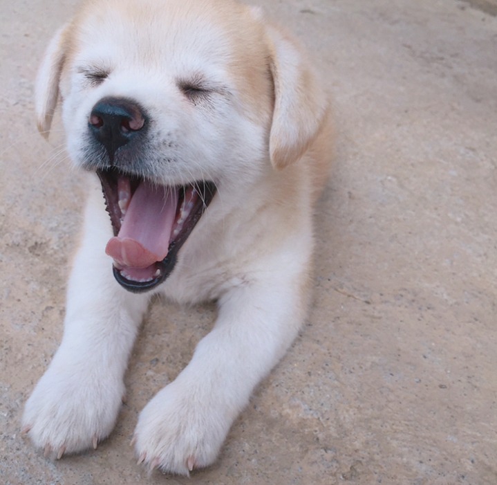 재업로드된 짱절미 사진 모음집.jpg(사진29장) | 인스티즈