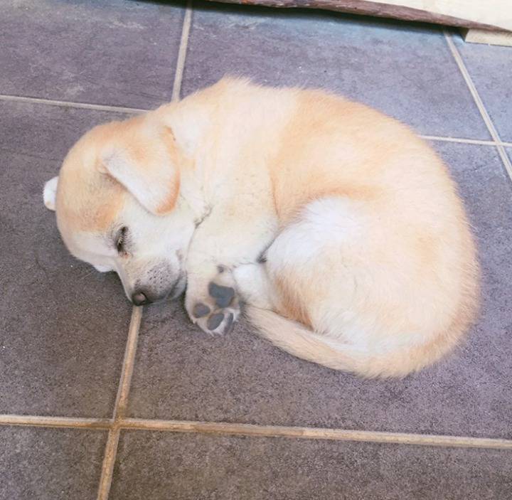 재업로드된 짱절미 사진 모음집.jpg(사진29장) | 인스티즈