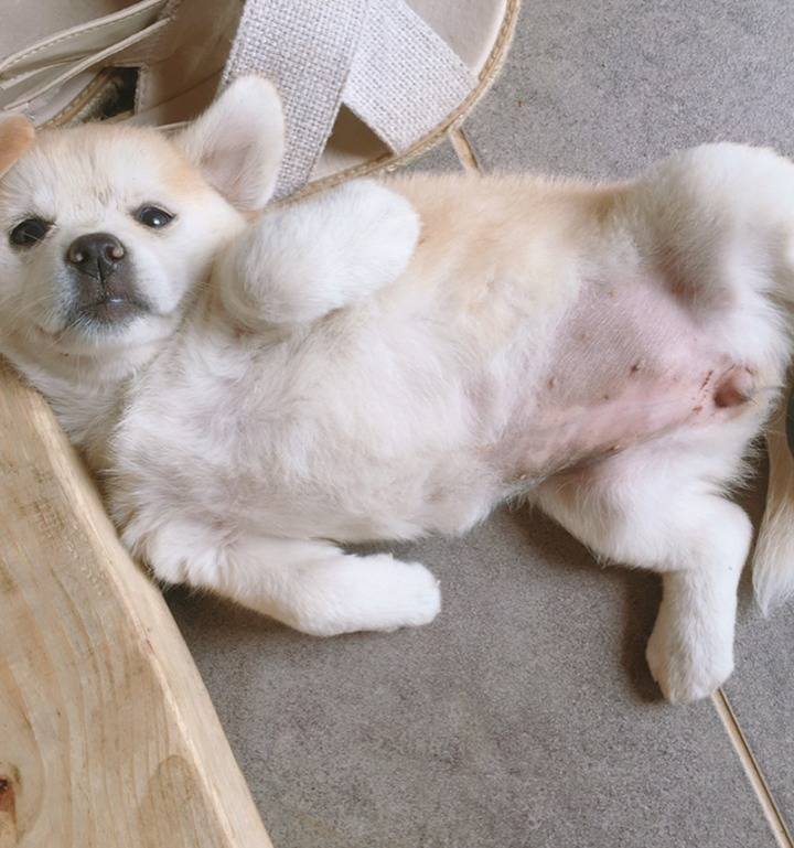 재업로드된 짱절미 사진 모음집.jpg(사진29장) | 인스티즈