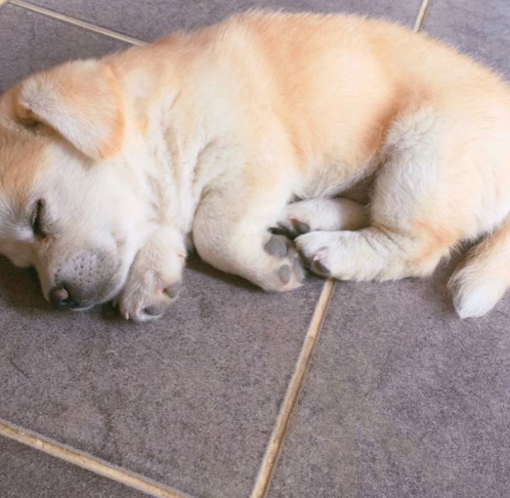 재업로드된 짱절미 사진 모음집.jpg(사진29장) | 인스티즈