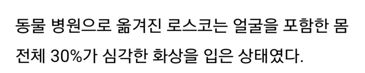 4살 아이를 구한 리트리버 | 인스티즈