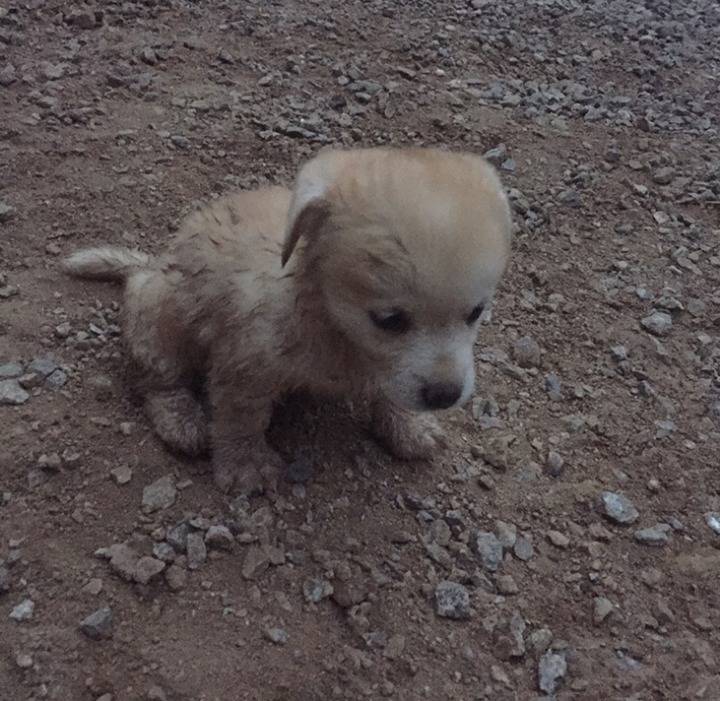 재업로드된 짱절미 사진 모음집.jpg(사진29장) | 인스티즈