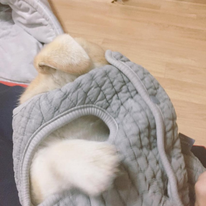 옷 선물 받은 짱절미.jpgif | 인스티즈