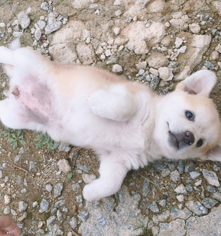 재업로드된 짱절미 사진 모음집.jpg(사진29장) | 인스티즈