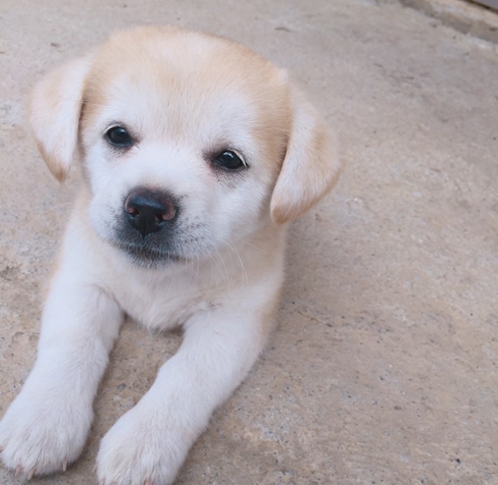 재업로드된 짱절미 사진 모음집.jpg(사진29장) | 인스티즈