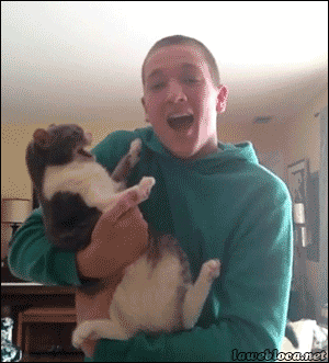 우리의 맴을 따스하게 데워줄 냥&댕모음 | 인스티즈