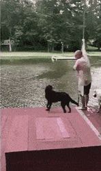 주인이 큰일났다 | 인스티즈