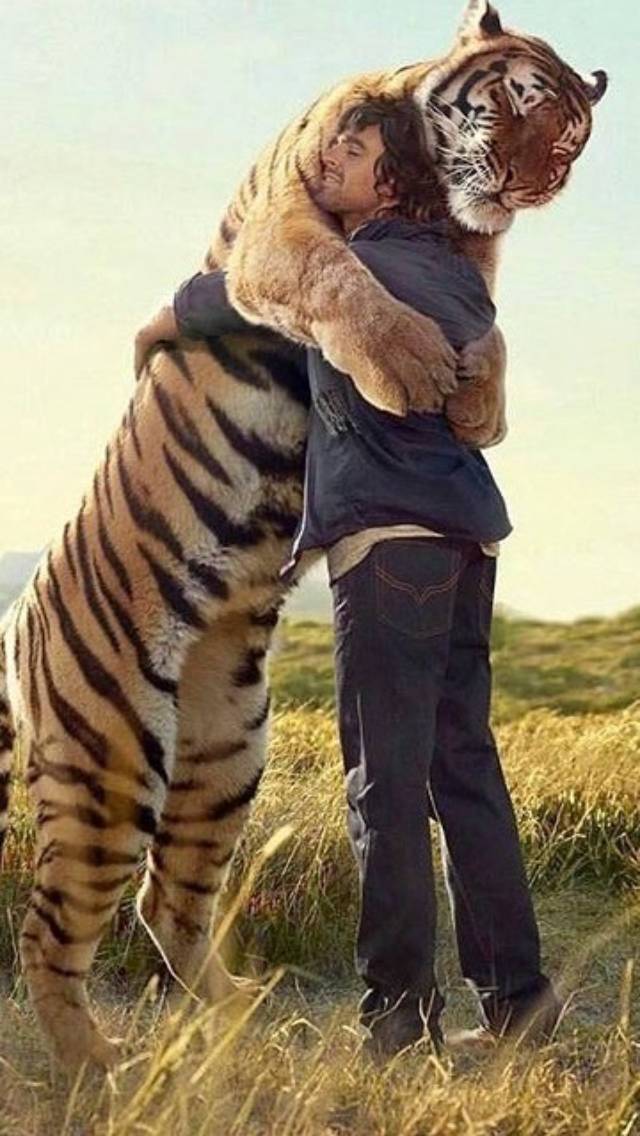 호랑이 친구 | 인스티즈