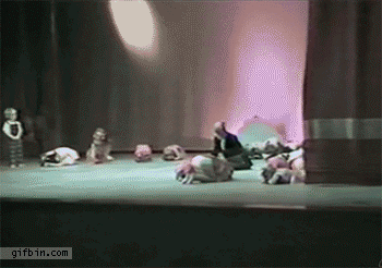 위치선정이 잘못됨...gif | 인스티즈