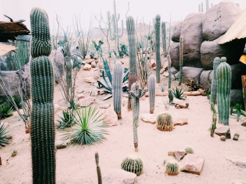  나의 청춘이었던 너에게 | 인스티즈