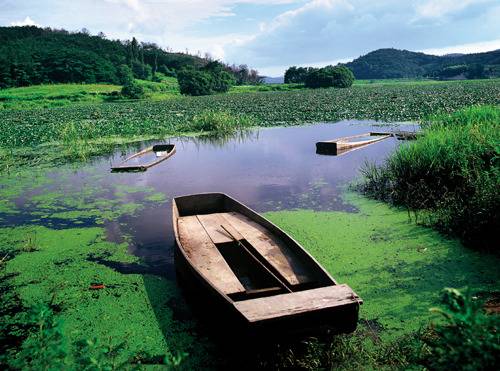 사기꾼 뺨치는 사대강 전후 사진 | 인스티즈