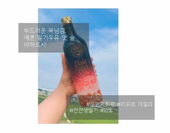 술 못 먹는 사람들이 즐기기 좋은 술 BEST 10.jpg | 인스티즈