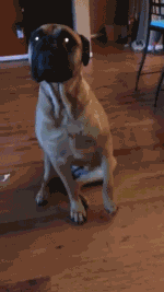 쟤가 그랬어요 | 인스티즈