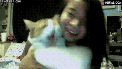 두가지로 갈리는 고양이 | 인스티즈