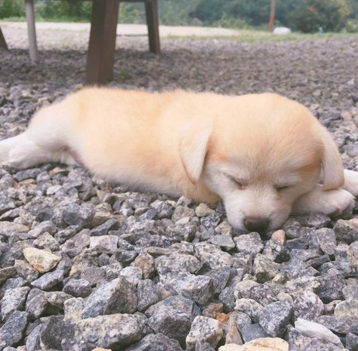 재업로드된 짱절미 사진 모음집.jpg(사진29장) | 인스티즈