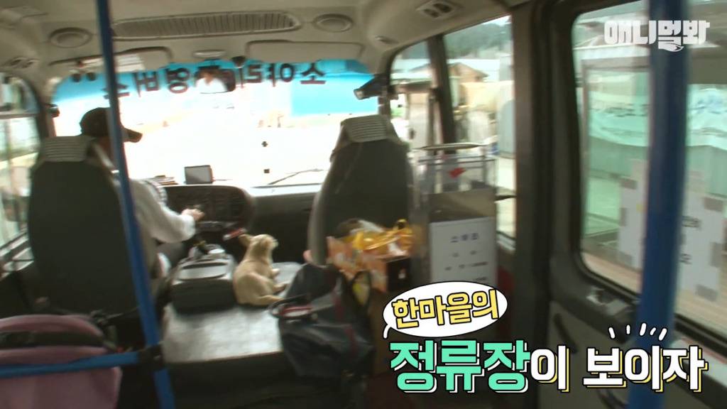 혼자 버스타고 지인 만나러 가는 강아지 상연이.jpg | 인스티즈