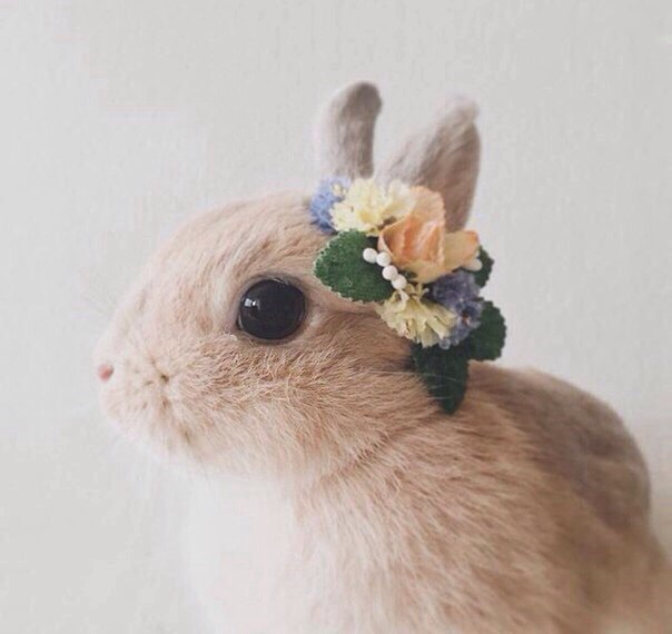 꽃장식을 쓴 토끼햏.jpg | 인스티즈